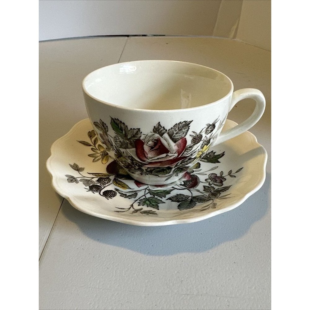 Meakin Sol dark pink rose and fruit teacup and saucer in excellent condition...